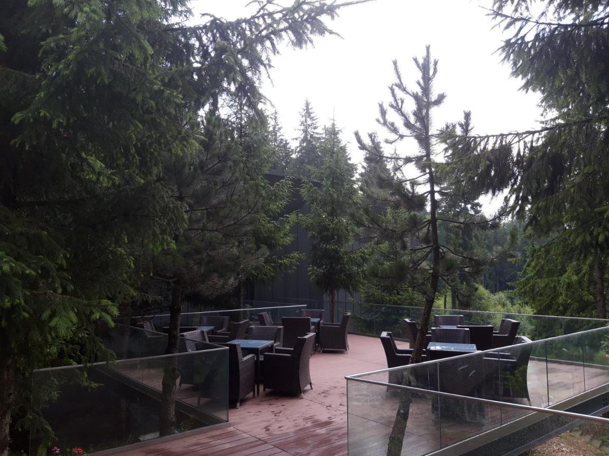 Complex Hotelier Cota O Mie Sinaia Extérieur photo